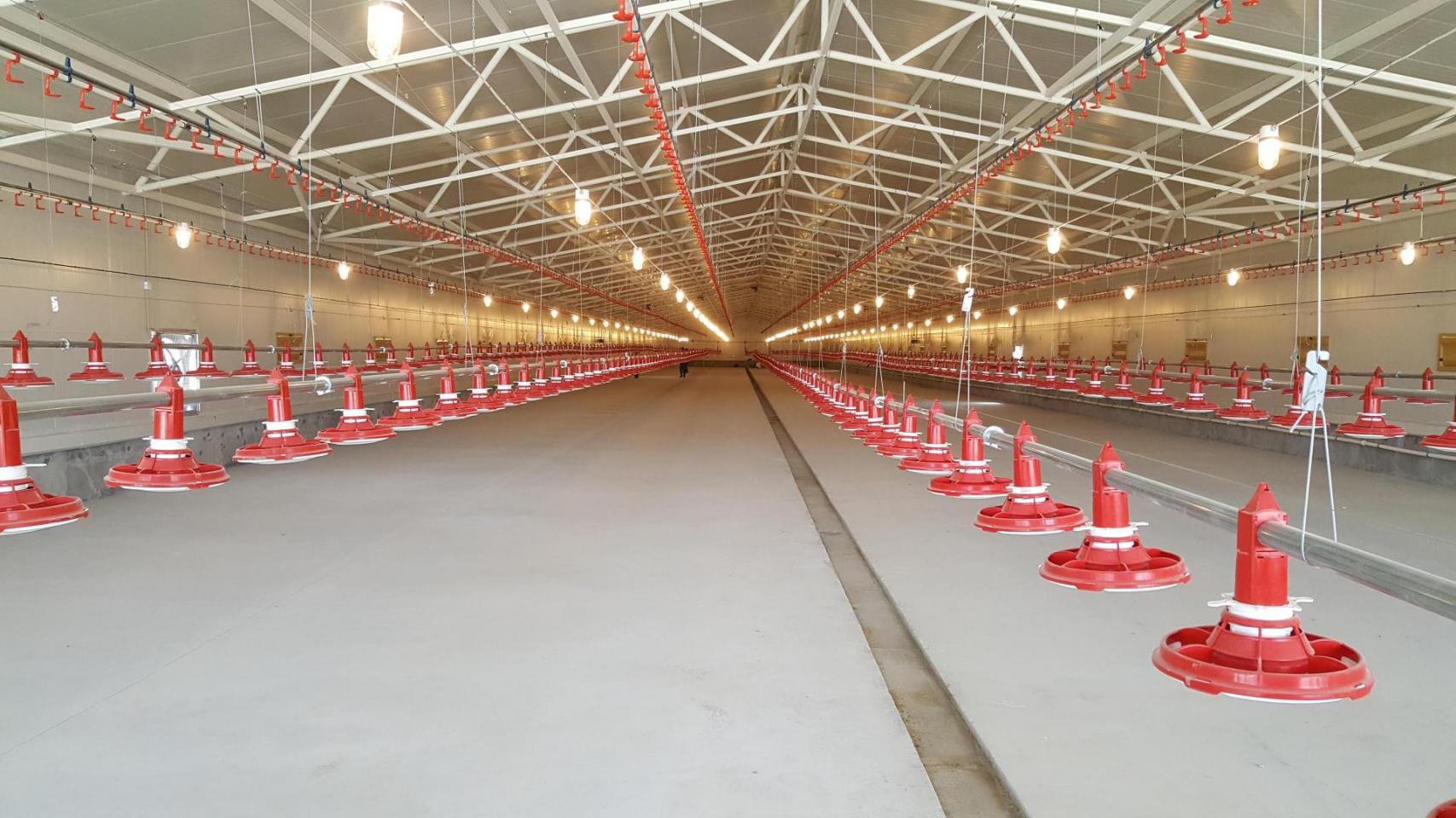 De lengte en de breedte (115 x 15 meter) van de stal, maakt dat deze geschikt is voor tunnelventilatie. Iedere stal bevat 5 Valènta voerlijnen en 6 drinknippellijnen.