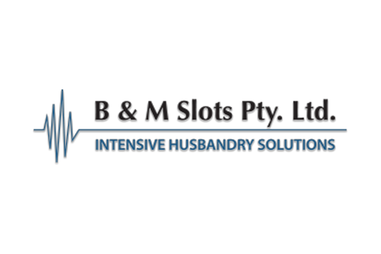 Dealer in the Spotlight: B&M Slots