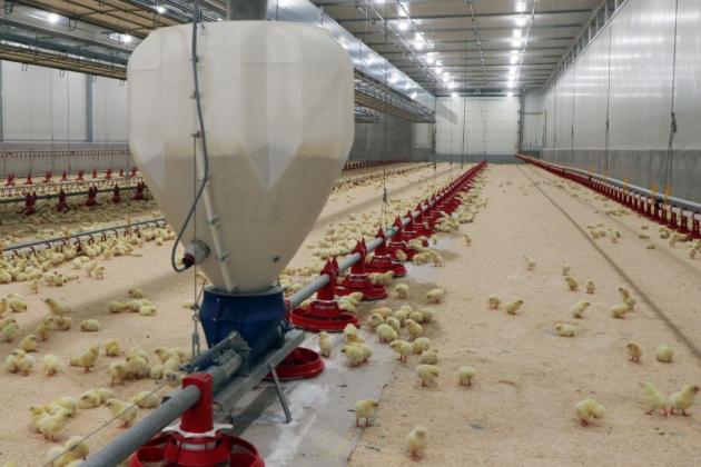 Nieuw FlexBin! Lichtgewicht, eenvoudig te hanteren kunststof hopper